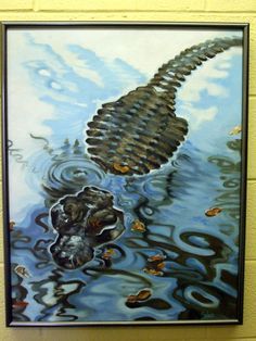 Alligator on Pinterest | Alligators, Painted Toms and Black Canvas Alligator In Water, Alligator Art, Underwater Drawing, Alligators Art, Cypress Knees, Animal Art Ideas, Art Underwater, Florida Everglades, Heron Art