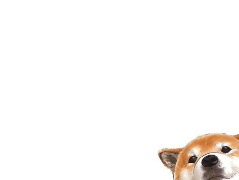 Corgi wallpaper Corgi Wallpaper Iphone, Corgi Wallpaper, Dog Wallpapers, Cute Dog Wallpaper, We Bare Bears Wallpapers, Wallpaper Ipad, Wallpaper Dekstop, Macbook Wallpaper, Aesthetic Desktop Wallpaper