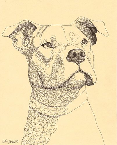 Pit Bull Ink Drawing | erinkejo | Flickr Pit Bull Drawing, Bull Drawing, Pitbull Drawing, Drawing Dogs, Pitbull Tattoo, Andrew Loomis, Pitbull Art, Bull Tattoos, Animal Artwork