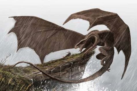 d Brown Dragon, Beast Creature, Dragon's Lair, Dragon Warrior, Monster Illustration, Digital Art Gallery, Dragon Pictures, Dragon Wings, Dragon Artwork