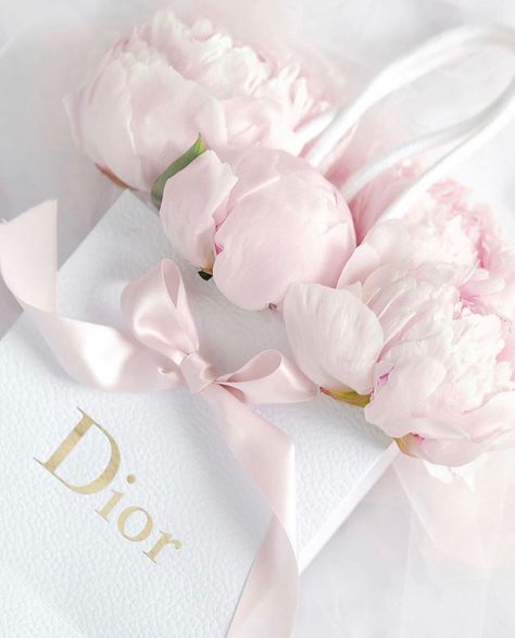 Pink Peony Aesthetic, Pink Peonies Aesthetic, Pink Dior Aesthetic, Peonies Aesthetic, Dior Flowers, Peonies Background, Peonies Wallpaper, Peony Aesthetic, Pastel Pink Aesthetic