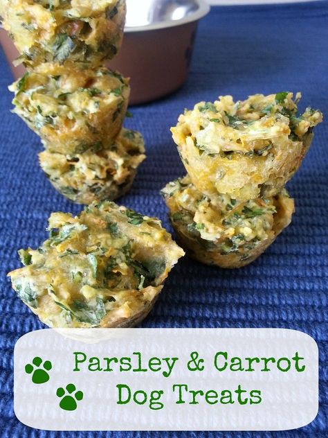 Parsley Carrot Dog Treats Recipe via @brettmartin Dog Breath Treats, Homade Dog Treats, Carrot Dog Treats, Recipes For Dog Treats, Cookies For Dogs, Healthy Homemade Dog Treats, Lunch Meat Recipes, Dogs With Allergies, Homemade Dog Cookies