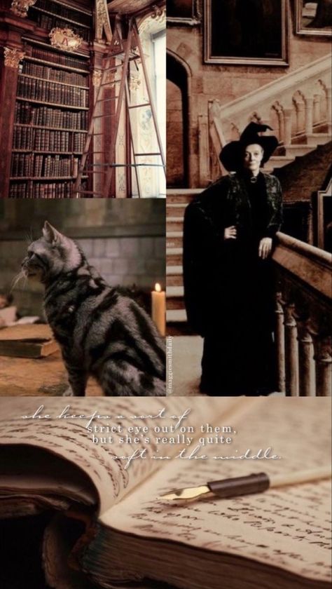 Minerva Mcgonagall Aesthetic, Mcgonagall Aesthetic, Harry Potter Female Characters, Smith Aesthetic, Harry Potter Professors, Minerva Mcgonagall, Potter Wallpaper, Gryffindor Aesthetic, Ladybug Wallpaper