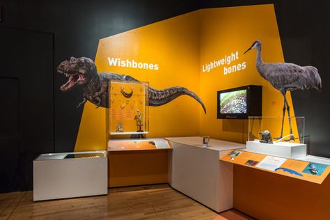 Dinosaurs Among Us, through January 2, 2017 and The Titanosaur, a permanent exhibition at American Museum of Natural History, March 21, 2016 – January 2, 2017 – Arts Summary Dinosaur Exhibit, Dinosaur Exhibition, Chicken For Dinner, Dinosaur Museum, Museum Interior, Museum Exhibition Design, Largest Dinosaur, American Museum Of Natural History, Nature Museum