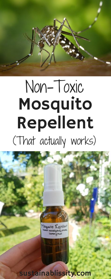 The Only Natural Mosquito Repellent You Need This Summer - Sustainablissity Essential Oils For Mosquitoes, Essential Oil Bug Repellent, Mosquito Repellent Essential Oils, Diy Mosquito Repellent, Diy Bug Spray, Natural Mosquito Repellent, Organic Gardening Pest Control, Natural Bug Repellent, Natural Mosquito Repellant