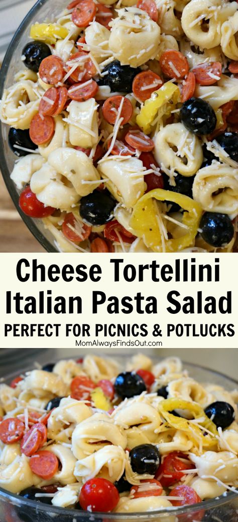 Three Cheese Tortellini, Pasta Salad With Tortellini, Italian Pasta Salad, Pasta Casera, Tortellini Recipes, Tortellini Pasta, Tortellini Salad, Salad Salad, Salad Pasta