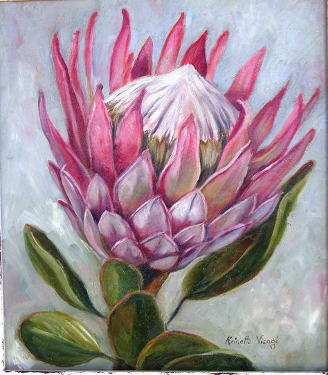 King Protea - oilpainting by R. Visage Protea Plant, Protea Art, Fabric Artwork, Protea Flower, Pola Sulam, Plant Painting, Ink Drawings, Flower Art Painting, Arte Floral