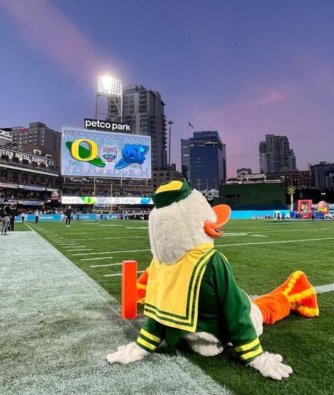 Oregon Ducks Football Wallpaper, Oregon Ducks Wallpaper, Oregon Ducks Party, Football Wallpaper Iphone, Oregon Football, Ducks Football, Duck Wallpaper, Petco Park, Oregon Ducks Football