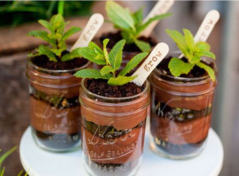 DIY Pudding Plant Parfait Edible Dirt, Zombie Themed Party, Dirt Dessert, Mason Jar Cakes, Chocolate Parfait, Dirt Pudding, Chocolate Pudding Recipes, Dirt Cake, Plant Party