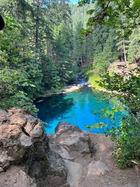 #oregon #bluepool Blue Pool Oregon, Oregon Aesthetic, Oregon Summer, Cliff Jumping, Blue Pool, Places To Go, Oregon, Natural Beauty, Around The Worlds