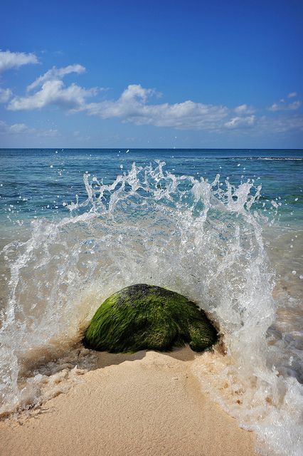 Waves Crashing On Rocks Painting, Rock Pools Beach, Waves Against Rocks, Waves On Rocks, Waves Crashing On Rocks, Wave Crashing, Lanai Island, Sea Rocks, Rock Beach