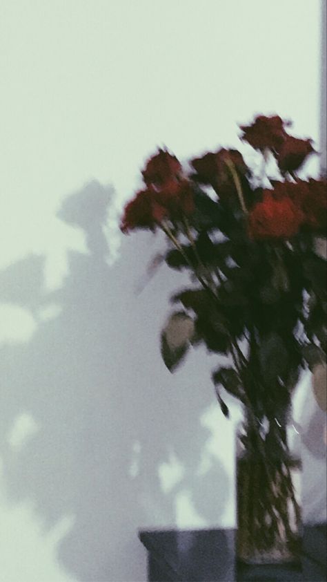 Blurry Rose Aesthetic, Blurry Aesthetic Flowers, Couples Aesthetics Blurry Wallpaper, Aesthetic Rose Pic, Blurry Aesthetic Couple Pictures, Blurred Background Aesthetic, Aesthetic Blur Pictures, Red Blurry Aesthetic, Blurry Flower Aesthetic