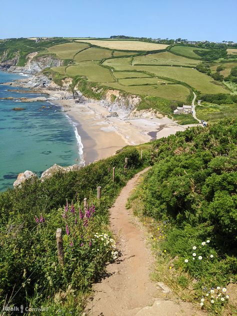 Cornwall Beach House, Summer In Cornwall, Cornwall Countryside, Cornwall Aesthetic, Cornwall Landscape, Cornwall Summer, Cornwall Cottage, English Beach, Cornwall House