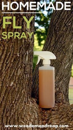 Homemade Fly Spray - Weed 'em & Reap #diy | homemade | bug repellent | flies | mosquitoes | ticks Homemade Fly Spray, Blueberry Patch, Fly Spray, Diy Horse, Insect Spray, Garden Pest Control, Bug Spray, Bug Repellent, Natural Cleaning