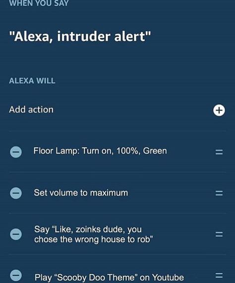 Alexa Intruder Alert, My Power, Hysterically Funny, Internet Funny, Really Funny Pictures, Just For Laughs Videos, Tumblr Funny, Funny Laugh, Funny Posts