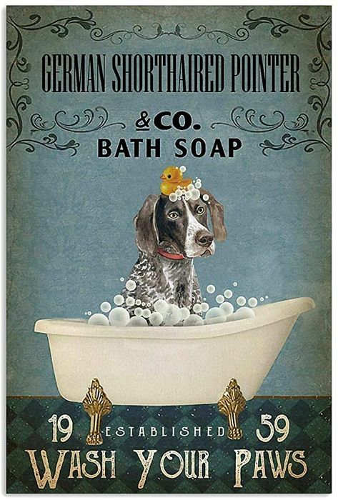 Amazon.com: YiKue German Shorthaired Pointer Tin Sign Vintage Wall Decor for Cafe Bar Home Beer Decoration 12x8inch : Home & Kitchen Soap Poster, Beer Decorations, German Shorthair Pointer, Dog Sayings, Dachshund Stuff, Shop Door, Decoupage Printables, Digital Ads, Metal Wall Plaques