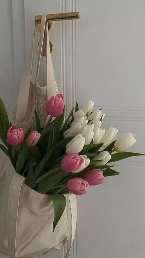 Pink And White Tulips, White Tulips, Ikebana, Pink And White, Tulips, Flowers, Pink, White