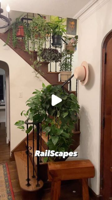 Plant People, Plants Decor, Railing, Plant Decor, A Thing, Layering, Plants, Flowers