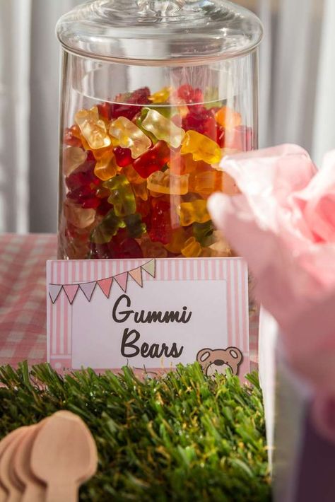 Teddy Bears' Picnic  | CatchMyParty.com Picnic Themed Party, Teddy Photo, Picnic Birthday Party Ideas, Masha Cake, Teddy Bear Picnic Birthday Party, Picnic Themed Parties, Teddy Bear Birthday Party, Teddy Bears Picnic, Zoo Birthday Party