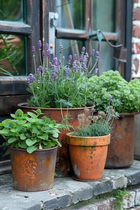 Terra Cotta Pots Garden, Garden Planter Ideas, Potted Garden, Potting Benches, Plants In Pots, Pots Plants, Pots Garden, Cottage Witch, Terra Cotta Pots