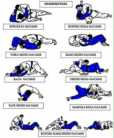 Jiu Jutsu, Kenpo Karate, Martial Arts Techniques, Ju Jitsu, Martial Arts Workout, Brazilian Jiu Jitsu, Grappling, Judo, Karate