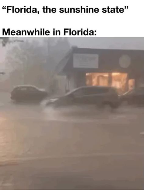 Florida Heat Meme, Florida Meme, Florida Funny, Car Jokes, Moving To Florida, All 50 States, Sunshine State, Best Sites, 50 States