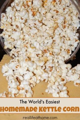 Homemade Kettle Corn, Kettle Corn Recipe, Popcorn Recipes Sweet, Popcorn Recipes Easy, Clean Eating Kids, Homemade Popcorn, Popcorn Snacks, Corn Recipe, Kettle Corn