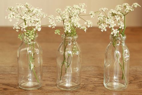 Milk Bottle Centerpiece, Milk Bottle Flowers, Mini Milk Bottles, Milk Bottle Vases, Mini Vases, Bottle Vases, Tea Party Table, Milk Jar, Jar Centerpieces