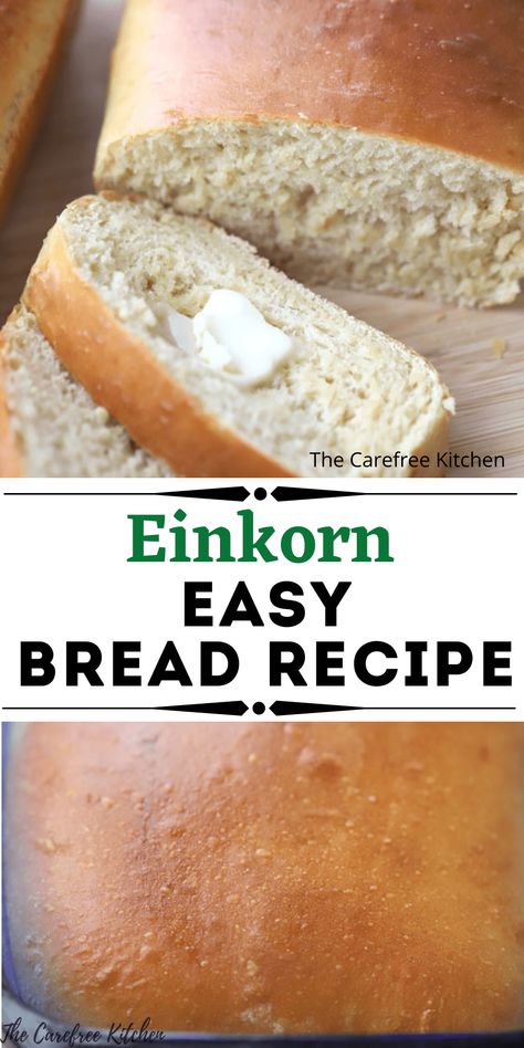 Einkorn White Bread Easy Einkorn Bread, Bread Machine Einkorn Bread, Einkorn Cinnamon Bread, Einkorn Recipes Breads, Einkorn Quick Bread, Jovial Einkorn Bread Recipes, Einkorn Whole Wheat Recipes, Einkorn Buns, Einkorn Flour Bread Machine Recipes