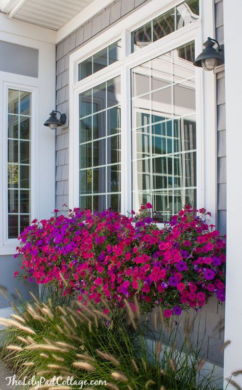 Window Boxes by the Lilypad Cottage Lilypad Cottage, Window Box Plants, Wave Petunias, Cottage Windows, Summer Window, Window Box Flowers, Balcony Flowers, Window Planters, Flower Window