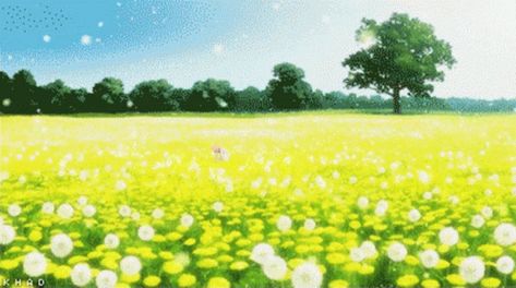 Anime Grass Field, Burst Angel, Tales Of Vesperia, Church Backgrounds, Yellow Fields, Field Wallpaper, Thanksgiving Wallpaper, World Wallpaper, Sunset Background