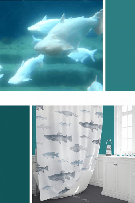 Add some ocean fish to your master bathroom decor with a new fabric shower curtain set. Nature adds a calming energy to your mood so remodel your bathroom aesthetic with a new shower curtain set including matching bath mats & towels set. Inviting new bathroom decor into this small often neglected space is a quick & easy way to freshen up your bathroom color scheme. Shop now @ www.ozscapedesigns.com Fun Shower Curtains, Beautiful Bathroom Decor, Curtains Wall, Luxury Bath Mats, Cool Shower Curtains, Bathroom Color Schemes, Modern Shower Curtains, Bathroom Aesthetic, Ocean Fish