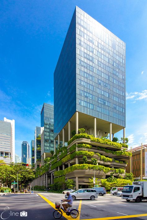 Green Skyscraper Architecture, Green Office Building, Green Building Architecture, Singapore Architecture, Facade Architecture Design, Office Building Architecture, Mix Use Building, Skyscraper Architecture, Architecture Building Design