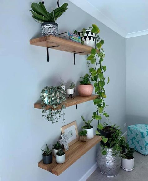 Elevate your space with our solid timber floating shelves! Whether mounted with sleek brackets or installed as minimalist floating units, these shelves are perfect for displaying your favourite plants, books, and decor. Each shelf is crafted from sustainably sourced timber, ensuring both beauty and durability. Transform any room into a stylish and organised sanctuary. Ready to add a touch of elegance to your home? Visit our website to explore more options and get started today! #Lu... Room Wall Aesthetic, Timber Floating Shelves, Nature Presentation, Apartment Styles, Diy Portfolio, Floating Shelves Living Room, Grey Nature, Tv Stand Decor, Scandinavian Inspiration