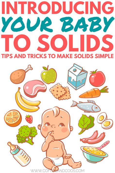 How To Introduce Solids To Baby, Introduce Solids To Baby, Feeding Baby Solids, Baby Samples, Starting Solids, Introducing Solids, Baby Puree, Table Food, Solids For Baby