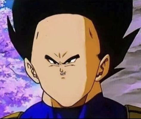 Vegeta Goku, Frieza Pose, Beerus Fanart, Dragon Ball Funny Face, Dragon Ball Low Quality Pics, Vegeta Funny, Dragon Ball Z Funny Faces, Goku Meme, Goku Memes