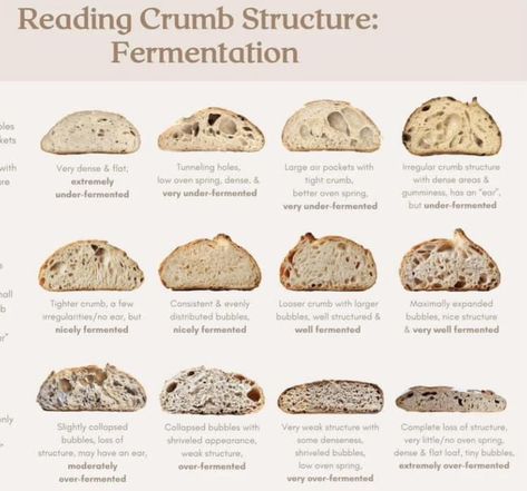 Sourdough Chart, Sourdough Fermentation Chart, Homemade Sourdough Bread Recipes, Cooking Substitutions, Homemade Sourdough Bread, Bread Starter, Homemade Bread Recipes Easy, Sourdough Starter Recipe, Best Oven