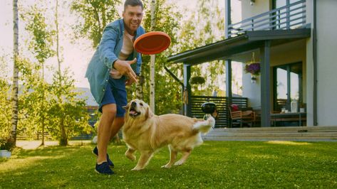 5 Dog-Friendly Fertilizers for Your Lawn - Earth911 Disabled Dog, Dog Tricks, Easy Tricks, Dog Safety, Dog Hacks, Positive Reinforcement, Pet Safe, Canine Companions, Dog Show