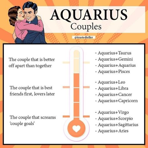 Zodiac Couples, Aquarius And Sagittarius, Aquarius And Scorpio, Pisces And Aquarius, Leo Season, Aquarius Pisces, Zodiac Posts, Sagittarius Capricorn, Scorpio Sagittarius