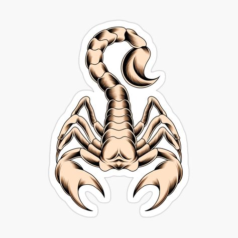 Get my art printed on awesome products. Support me at Redbubble #RBandME: https://www.redbubble.com/i/sticker/Scorpion-Tattoo-by-Catalinandrei/165208196.JCQM3?asc=u Chibi Scorpion, Scorpion Tattoos, Scorpion Tattoo, Tattoo Sticker, Tattoo Stickers, Scorpion, My Art, Awesome Products, Art Prints