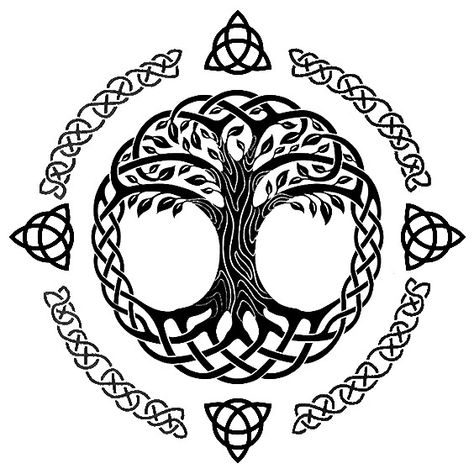 Celtic Tree Of Life Tattoo, Triskelion Tattoo, Celtic Tree Tattoos, Celtic Triskelion, Scottish Symbols, Celtic Dragon Tattoos, Tree Of Life Artwork, Celtic Artwork, Celtic Cross Tattoos