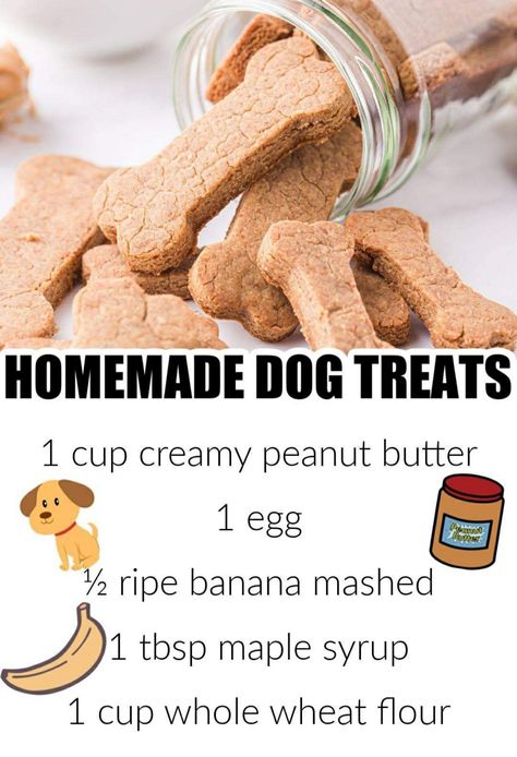 Foods Dogs Can Eat, Pet Treats Recipes, Dog Treats Homemade Easy, Easy Dog Treat Recipes, Dog Biscuit Recipes, Easy Dog Treats, Healthy Dog Treats Homemade, Peanut Butter Dog Treats, Dog Treats Homemade Recipes