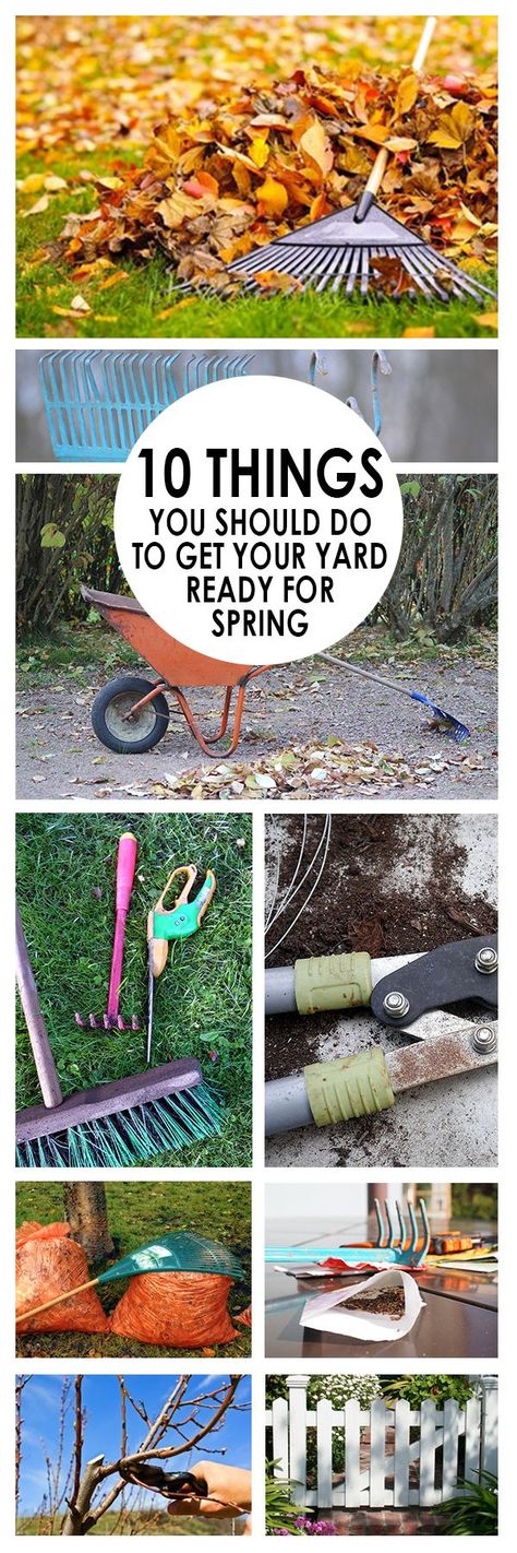 Gardening, home garden, garden hacks, garden tips and tricks, growing plants, plants, vegetable gardening, planting fruit, flower garden, outdoor living Outdoor Recipes, Garden Tool Organization, Garden Tool Storage, Landscape Inspiration, Garden Spring, Gardening Diy, Spring Plants, Diy Yard, Gardening Tips And Tricks