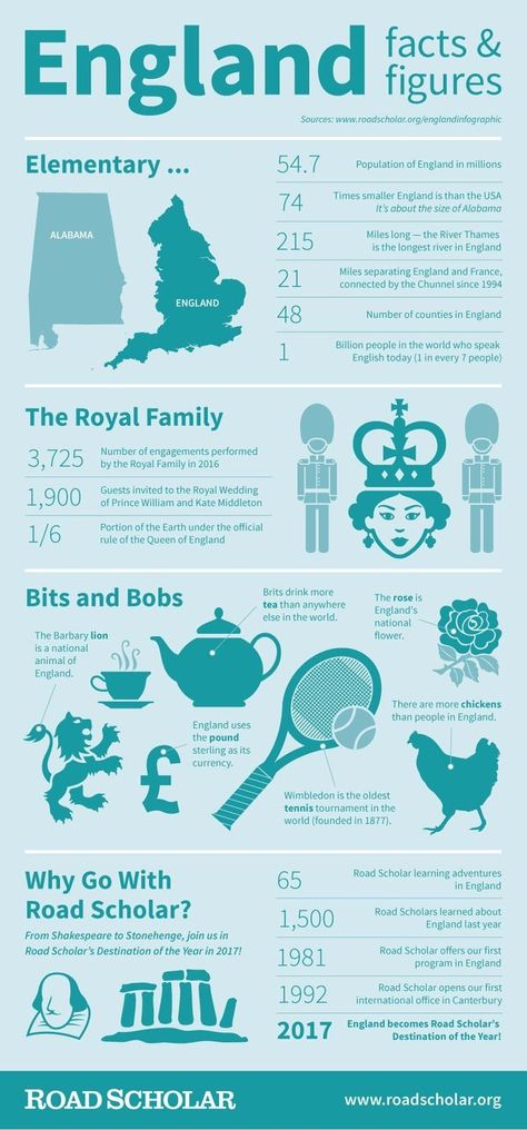 Facts About England, Uk Facts, Facial Reconstruction, History Infographic, Counties Of England, English Today, British Culture, Human Oddities, Rule Britannia