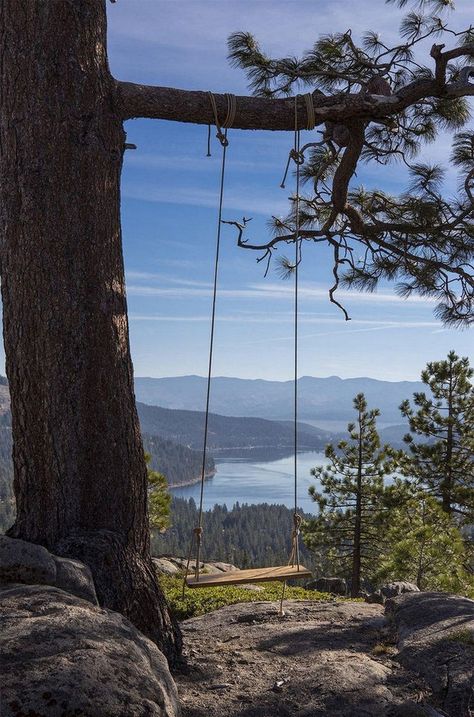 Rise & Shine (27 Photos) – Suburban Men Donner Lake, Tree Swing, Nature Aesthetic, Lake Tahoe, New Hampshire, A Tree, Beautiful World, Beautiful Landscapes, New Mexico