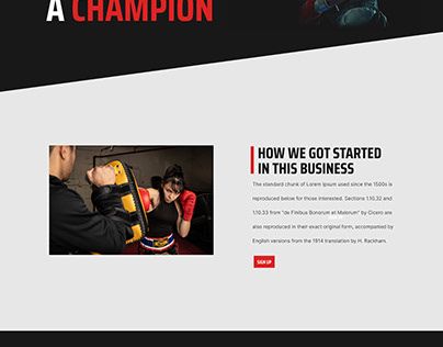 Martial Arts Website Design, Boxing Website Design, Freelancing Jobs, Landing Page