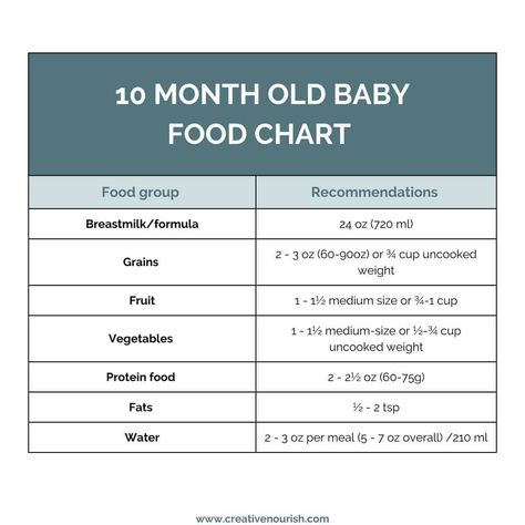 Guide on 10 months old baby food - what to eat and what to avoid, including a 10 month old diet chart, feeding schedule, recipes and free printable meal planner. 10 Month Old Baby Food, 7 Month Old Baby Food, 9 Month Old Baby Food, 8 Month Old Baby Food, Baby Meal Plan, Recipe Zucchini, Meal Planner Printable Free, 7 Month Old Baby, Baby Food Chart