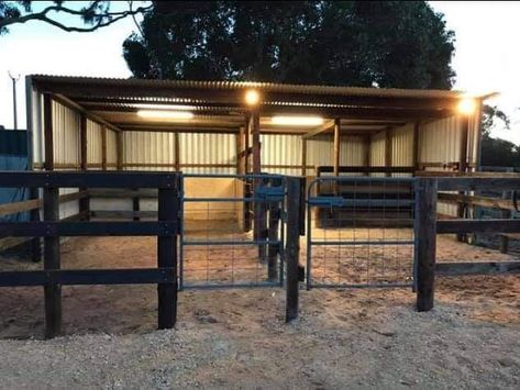 Horse Yards Ideas, Carport Horse Shelter, Horse Runs With Shelter, Outdoor Horse Stall Ideas, Foaling Stall Ideas, Horse Pens Ideas, Horse Set Up, Small Acreage Horse Farm, Horse Food Storage