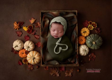 Photography and Editing Inspiration from Summerana member Purebaby Photography⁠ ⁠ Find out more about Summerana here: summerana.com/academy #Photographer #PhotoIdeas #PhotoMaking #PhotoIsLife #Photography #PhotographyTips #PhotographyTricks #PhotographyMarketing #PhotographyEducation #PhotographyResourses #newbornPhotography #PhotographerLife #photography Fall Newborn, Photography Videos, Newborn Digital Backdrop, Photography Contests, Newborn Baby Photography, Newborn Photography Props, Learning Photography, Digital Backgrounds, Holiday Red