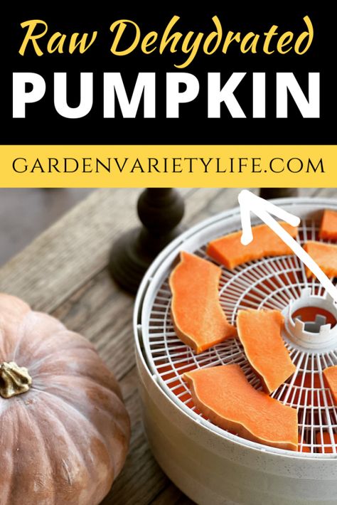 How to Dehydrate Pumpkin - Garden Variety Life How To Dehydrate Pumpkin, Pumpkin Dehydrator Recipes, Dehydrating Pumpkin, Dehydrate Pumpkin, Dehydrating Meat, Dehydrated Veggies, Dehydrated Pumpkin, Dehydrated Watermelon, Dehydrating Vegetables